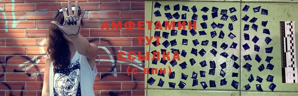 амф Горняк