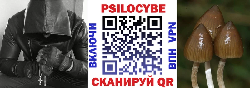 Галлюциногенные грибы прущие грибы Новокузнецк
