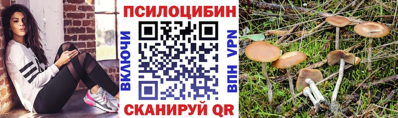 Псилоцибиновые грибы мицелий  Новокузнецк 
