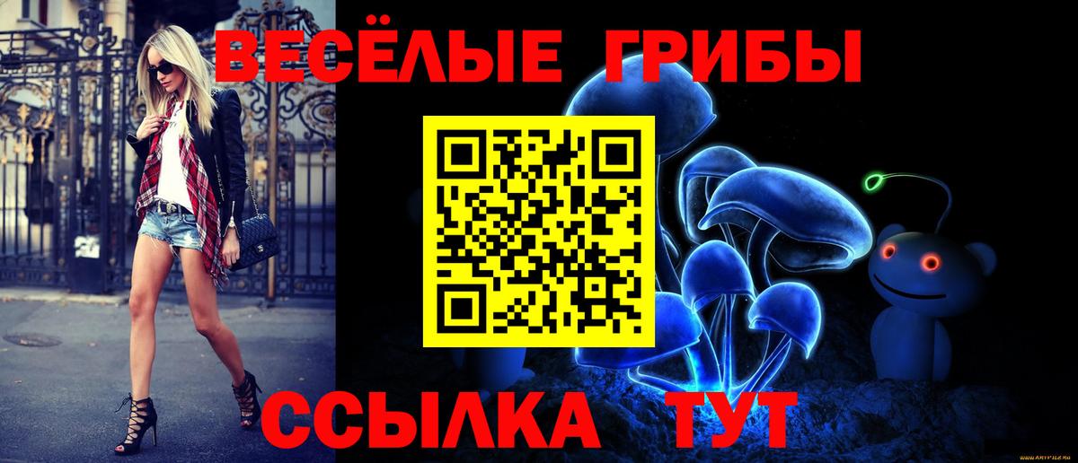 Новокузнецк  Псилоцибиновые грибы GOLDEN TEACHER  Вход с VPN 